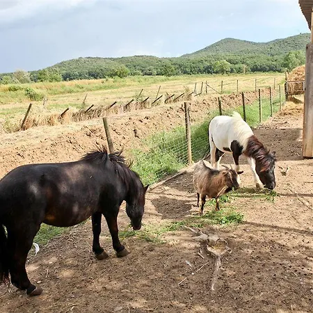 Da Lorena Alloggio per agriturismo